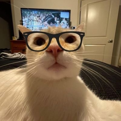 Gaming, coffee & cat lover, pensamiento crítico y analítico.