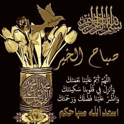 antagonista528's profile picture. student