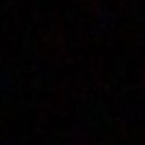 loyaaall_'s profile picture. 