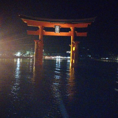 5qX1i0EIzRslkFL's profile picture. 