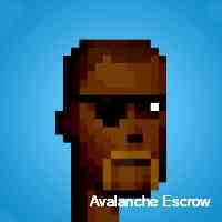 escroowavalanc's profile picture. Blockchain believer, anticipating a future where trust is inherent