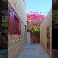 🇰🇼❤️ (@nawaf_muzaini) Twitter profile photo