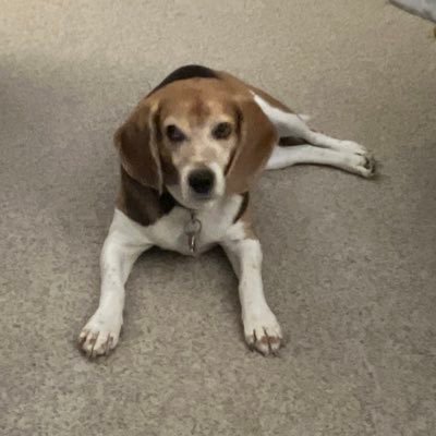 80sKidRzdRt's profile picture. God fearing believer