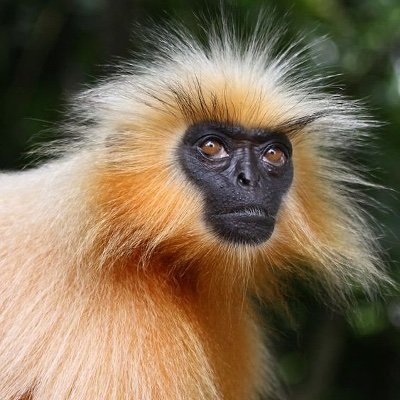 TheShortAccount's profile picture. "The modern day poster refuses to die."