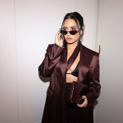 don’t follow me if you don’t like demi lovato, it's simple