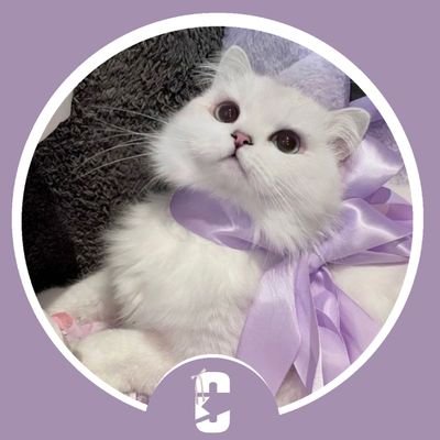 Estalacg's profile picture. (Ela/Dela) Uma fantasminha que gosta de assistir o Cellbit e participar da rapaziada.