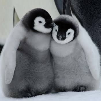 91_aoao's profile picture. 