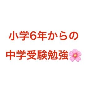 娘の24年中学受験に伴走したので、父親としての体験談をつぶやきます。娘は小学5年の2月下旬に中学受験を決意、１年間の自宅学習で第１志望校（四谷大塚偏差値63）に合格するまでの勉強方法など。似たような状況で2025中学受験に挑戦されるご家庭の参考になれば嬉しいです。フォロー歓迎します。