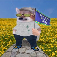 NameCan'tBeBlank (@sofiya2022) 's Twitter Profile