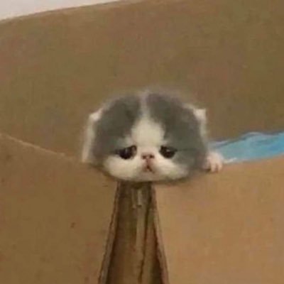 WanpenNH's profile picture. 