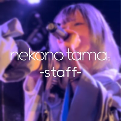 nekotama_staff Profile Picture