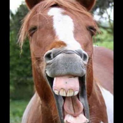 uma_to_kusa's profile picture. 将来の夢は仙人。医療と美容のお仕事。アイコンは自撮りです🐴ノンフィクション馬物語🐴