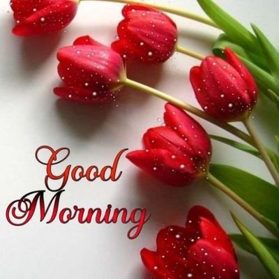 chamkou60233105's profile picture. 