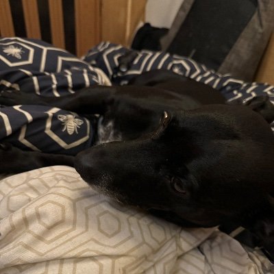 Tradingstats7's profile picture. 