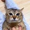 SourdoughBread7's profile picture. If the universe is so big why won't it fight me