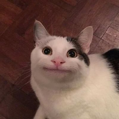 SonOfMamski Profile Picture