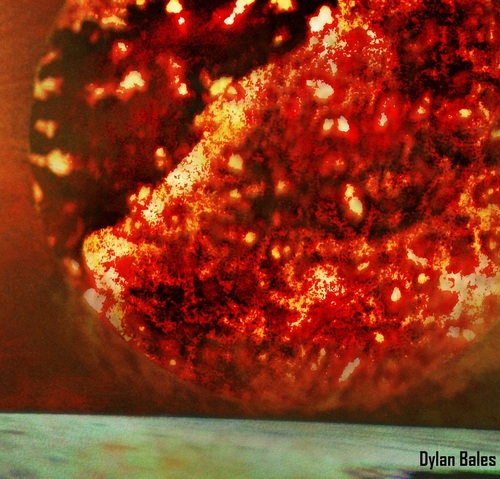 Caveth's profile picture. 