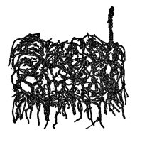 Suicide Solution (@ssmince2024) 's Twitter Profile Photo Suicide Solution (@ssmince2024) 's Twitter Profile Photo