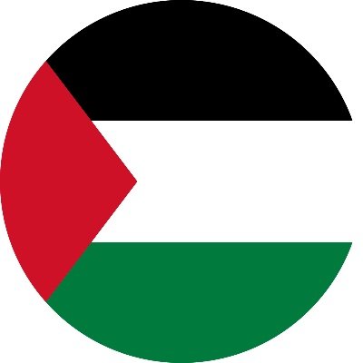 humanofearth_'s profile picture. Dipping my toe back into X/Twitter to help elevate the voices of others. #FreePalestine #CeasefireNow