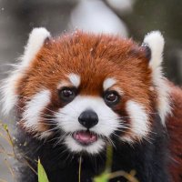 Wanderer (READ PINNED) (@wanderer7758) 's Twitter Profile
