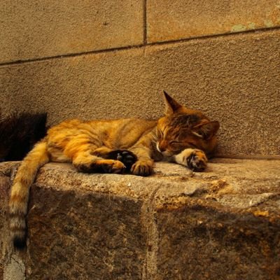 ツイート内容はUNIX個人の意見であり、ますが、会社とは一切の関係がございます!
YES、丁寧な言葉遣い。思いやり。責任ある言動。悪口言わない・聞かない。(自戒)