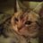 yunsuke04's profile image