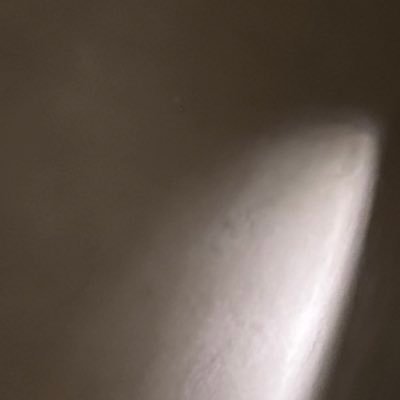 CCY_31's profile picture. ✨