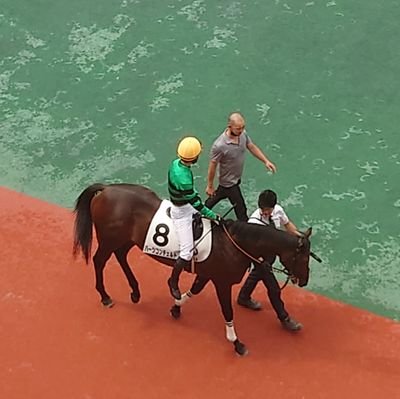 零細一口馬主です。

グリーンファーム愛馬会/シルクホースクラブ