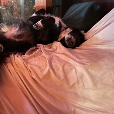 DelDepierro's profile picture. Keeping A Watchfull Eye