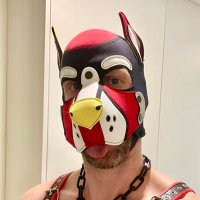 Pup Polo(@Pup_Polo_NZ) 's Twitter Profile Photo