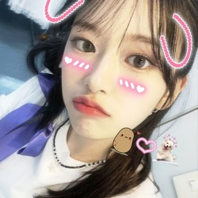 🇯🇵/関東/ 🚺/1推し안유진🐶/2推し가을🐿/폴더즈 大好き⸜❤︎⸝‍