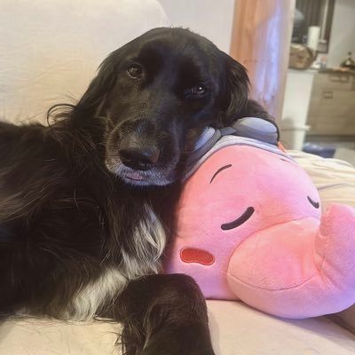 Emikot45878770's profile picture. 