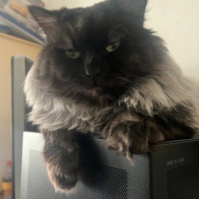 freeCN08964's profile picture. 在网络我是自由的！ https://t.co/NEOjjN1O0A开发者 区块链开发者