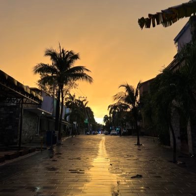 Onyx_CR11's profile picture. 