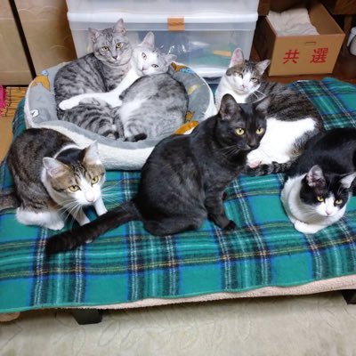 MorganY37296489's profile picture. 強くなるためには、弱さを感じる必要があります。 あなたの失敗は、あなたを人として定義するものではありませんが、あなたの成功を決定します.