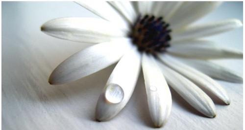 wisdomseekerr's profile picture. 