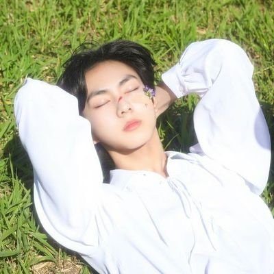 /ᐠ - ˕-マ。˚ᶻ 𝗓
— 우원 (宇願)⭒my wish granted by the stars 🌌💫