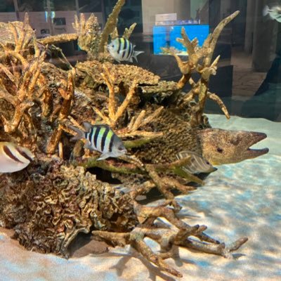 ak59794686's profile picture. 