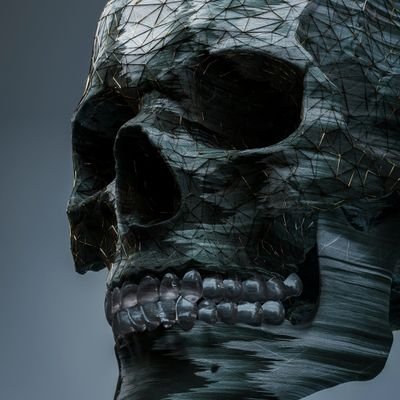 rsrk0811's profile picture. Opinion on things