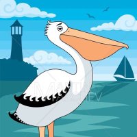 Tim Overland (@timoverlan47254) 's Twitter Profile