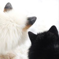 ๐ปํฐ๋ฅด์ฃผ (@santimo59) 's Twitter Profile