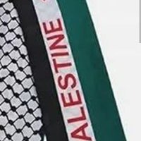 anonoamos 🇵🇸 🇵🇸 🇵🇸 🇵🇸 🇵🇸 🇵🇸 🇵🇸(@nononoomas) 's Twitter Profile Photo