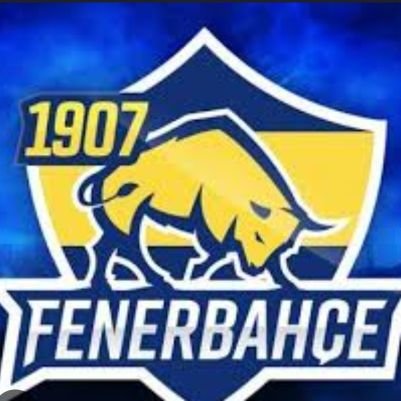 Sadece Fenerbahçe ile ilgili yazarım.Tek gerçek #Fenerbahçe