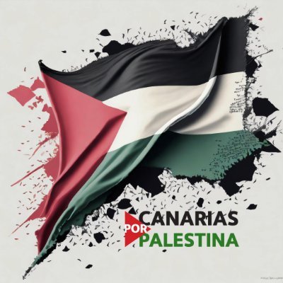 Plataforma conformada por organizaciones y personas individuales que rechazan el genocidio en Palestina. Por una Palestina Libre ✊🏽🇵🇸