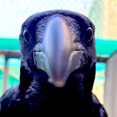 StarlightStat1c's profile picture. Celebrating and sharing whatever inspires, moves & motivates me.