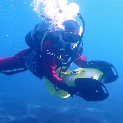 海と平和を愛するダイバー🤿
時は世界の大転換期…どっしり構えて手堅く生きよう!!
WWG1WGA