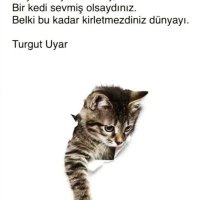 gönül doğu (@gonuldogu) 's Twitter Profile