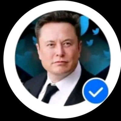 ✈️ Space - CEO & СТО

Tesla CEO and Product architect

🛥️Hyper-loop Co -founder.

Twitter CEO🪙