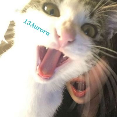 hiropon4m's profile picture. Completely private account. I don't talk about work in the slightest. I have a friendly personality. Please take a look😃|धनं ददातु🤌ファンマ→👺🥑🔞