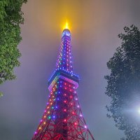 れもん (@lemon_02_lemon) 's Twitter Profile